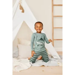Carter's Just One You® Toddler Boys' Dinosaurs Long Sleeve Pajama Set - Green -Carter's Just One You GUEST 148ec1f5 2072 45e3 be00 6495c1a79d13